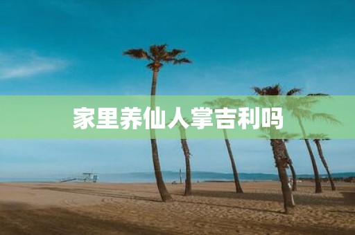 家里养仙人掌吉利吗