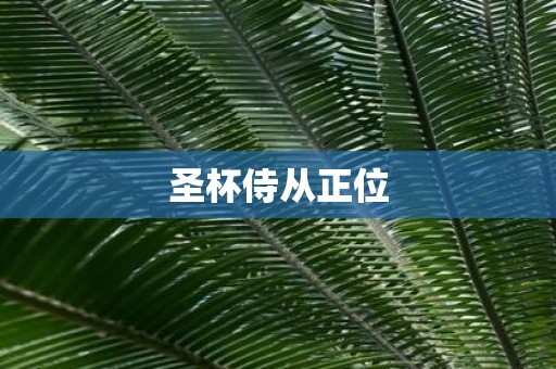 圣杯侍从正位