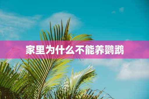 家里为什么不能养鹦鹉