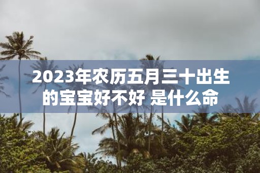 2025年农历五月三十出生的宝宝好不好 是什么命