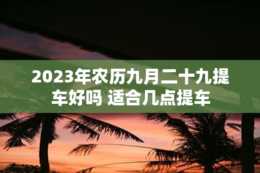 2025年农历九月二十九提车好吗 适合几点提车