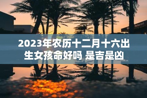2025年农历十二月十六出生女孩命好吗 是吉是凶