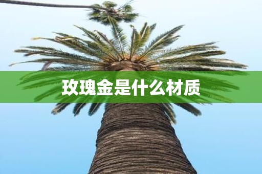 玫瑰金是什么材质