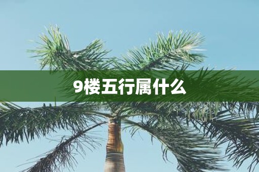 9楼五行属什么