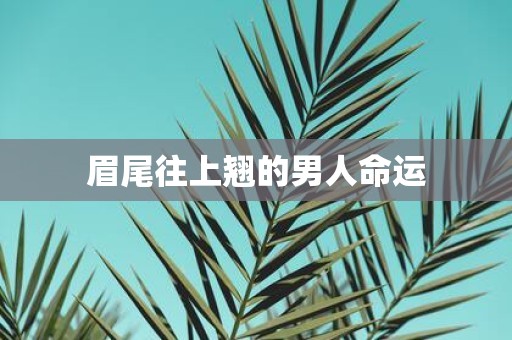 眉尾往上翘的男人命运