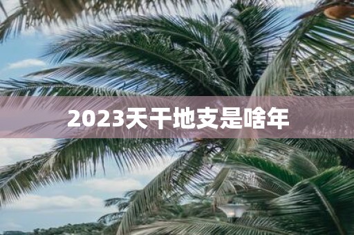 2025天干地支是啥年