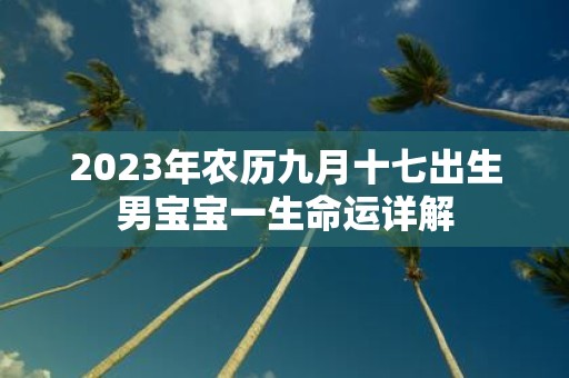 2025年农历九月十七出生男宝宝一生命运详解