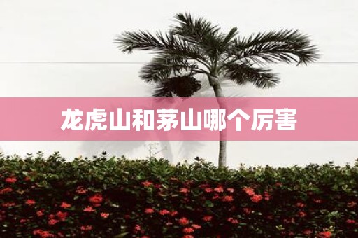 龙虎山和茅山哪个厉害