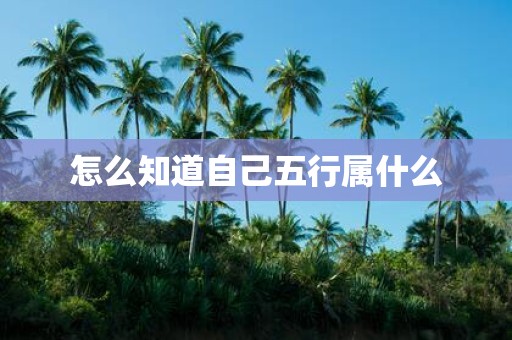 怎么知道自己五行属什么