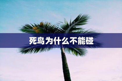 死鸟为什么不能碰