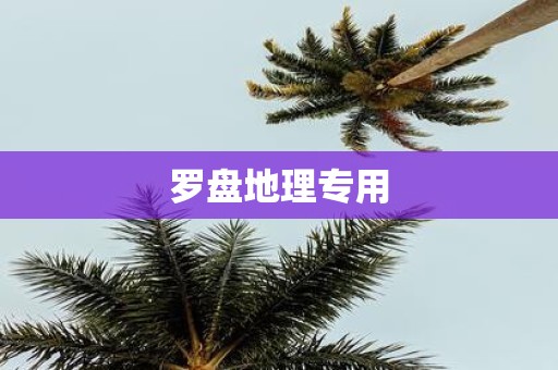 罗盘地理专用