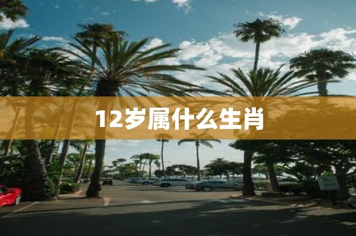 12岁属什么生肖