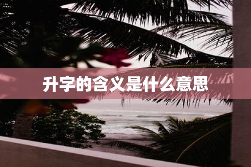升字的含义是什么意思