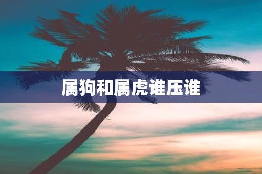 属狗和属虎谁压谁