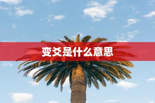 变爻是什么意思