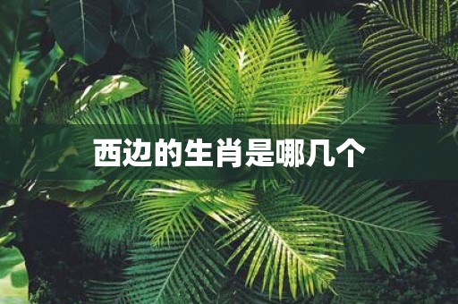 西边的生肖是哪几个