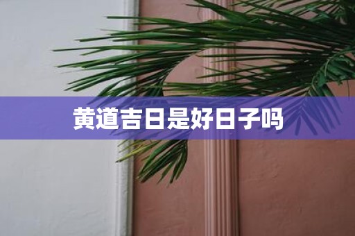 黄道吉日是好日子吗