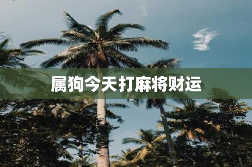 属狗今天打麻将财运