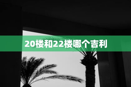 20楼和22楼哪个吉利