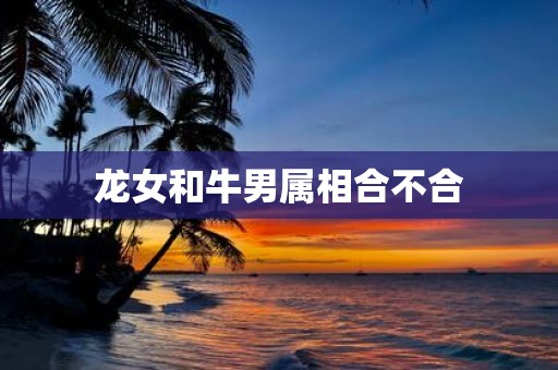 龙女和牛男属相合不合