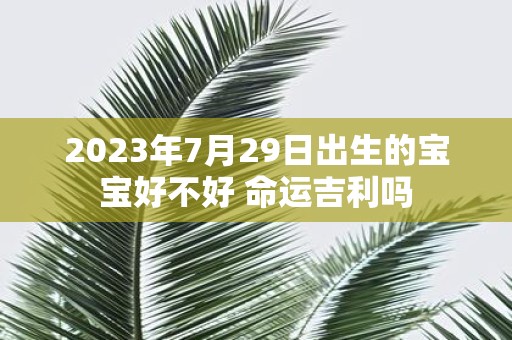 2025年7月29日出生的宝宝好不好 命运吉利吗