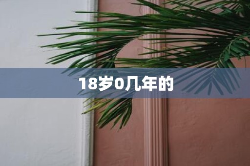 18岁0几年的