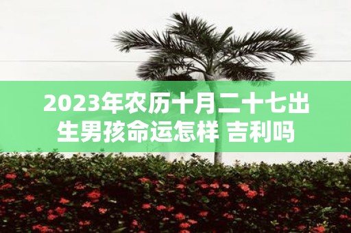 2025年农历十月二十七出生男孩命运怎样 吉利吗