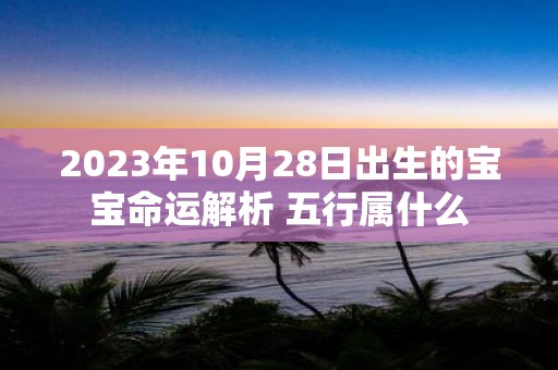 2025年10月28日出生的宝宝命运解析 五行属什么