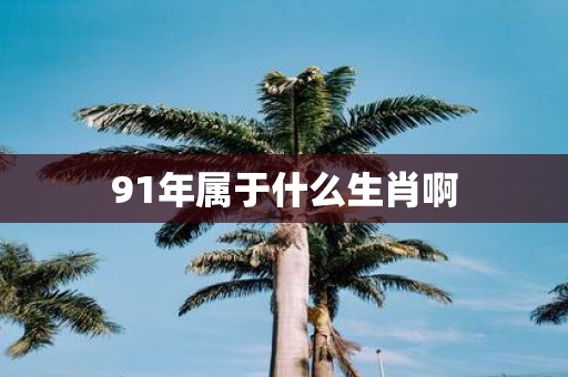 91年属于什么生肖啊