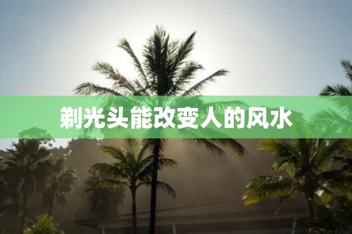 剃光头能改变人的风水