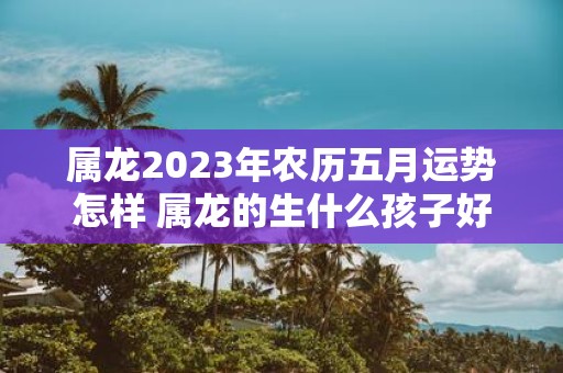 属龙2025年农历五月运势怎样 属龙的生什么孩子好