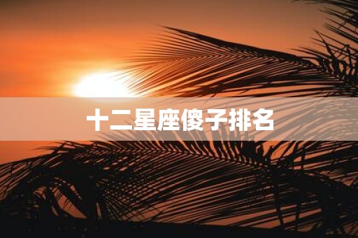 十二星座傻子排名