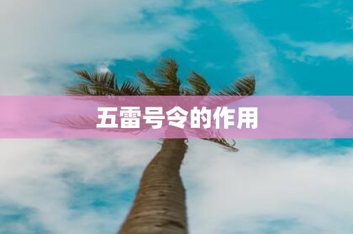 五雷号令的作用
