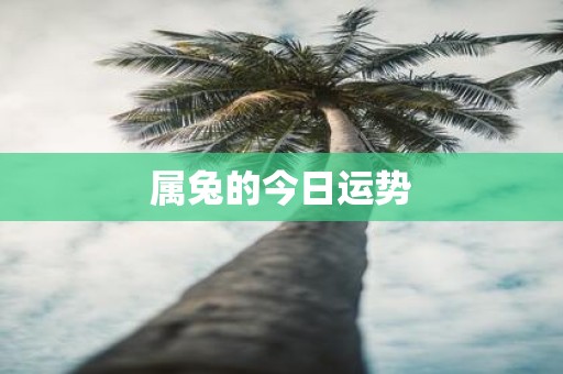 属兔的今日运势