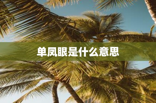 单凤眼是什么意思