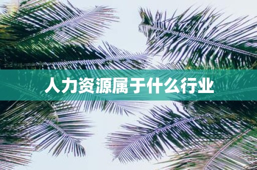 人力资源属于什么行业