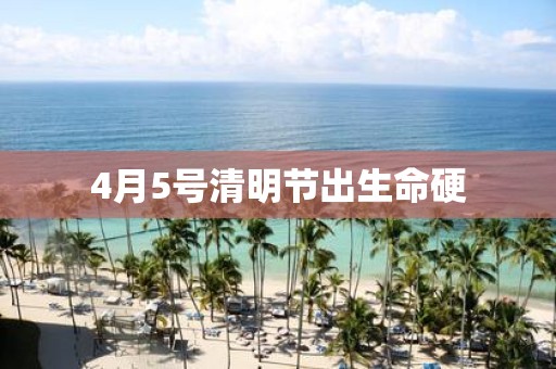 4月5号清明节出生命硬
