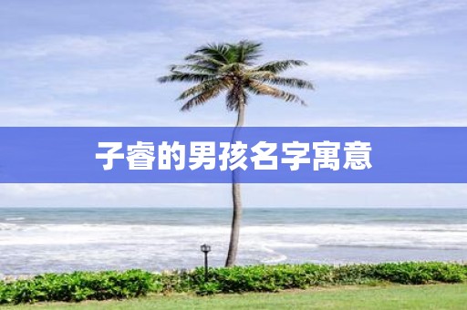 子睿的男孩名字寓意