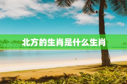 北方的生肖是什么生肖