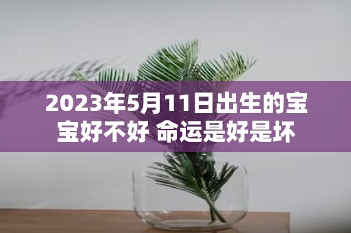 2025年5月11日出生的宝宝好不好 命运是好是坏