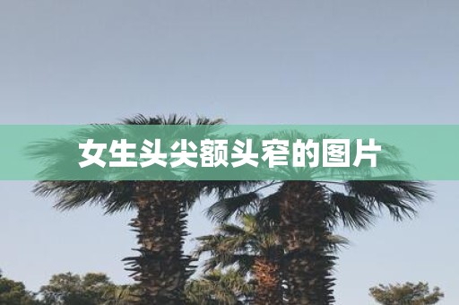 女生头尖额头窄的图片