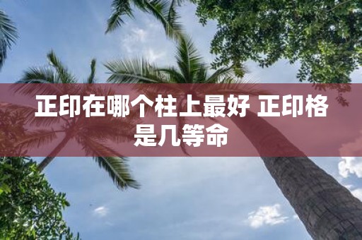 正印在哪个柱上最好 正印格是几等命