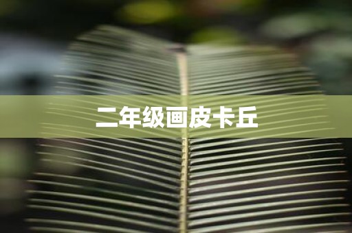二年级画皮卡丘