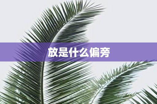 放是什么偏旁