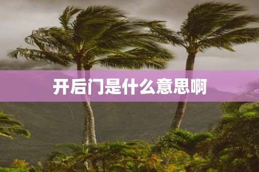 开后门是什么意思啊