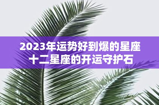 2025年运势好到爆的星座 十二星座的开运守护石