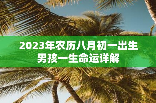 2025年农历八月初一出生男孩一生命运详解