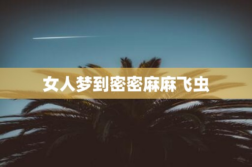 女人梦到密密麻麻飞虫