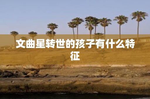 文曲星转世的孩子有什么特征