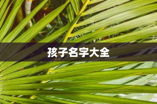 孩子名字大全